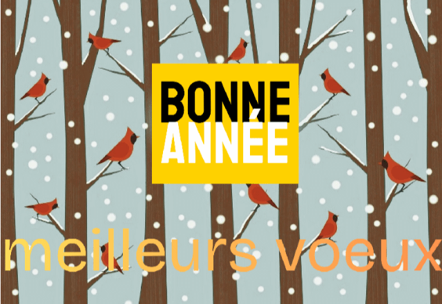 Toutes saisons chez VISIMAXI